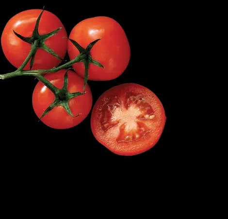 Tomates